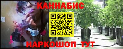 гидропоника Гусев