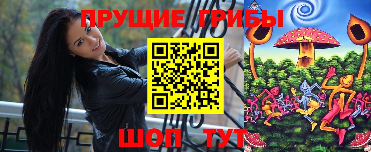Галлюциногенные грибы Psilocybe Минусинск