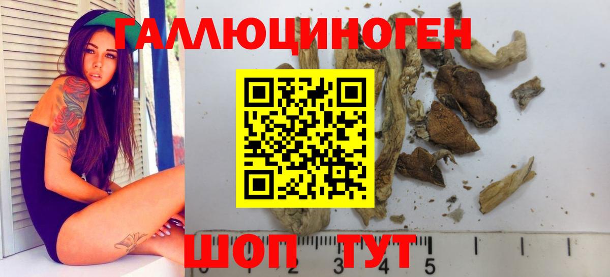 Галлюциногенные грибы GOLDEN TEACHER  Вход с VPN  Минусинск  Псилоцибиновые грибы ЛСД 